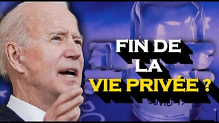 Passeport vaccinal, Un groupe de défense met en garde - Des chiens dressés pour détecter les virus ?