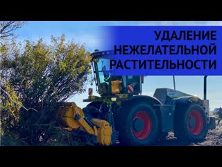 УДАЛЕНИЕ НЕЖЕЛАТЕЛЬНОЙ РАСТИТЕЛЬНОСТИ с КОРНЕВОЙ СИСТЕМОЙ ПОЧВЕННОЙ ФРЕЗОЙ MeriCrusher MJHS-311STX