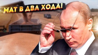 Зерновой блицкриг Путина: 2 хода России заставили занервничать Запад!