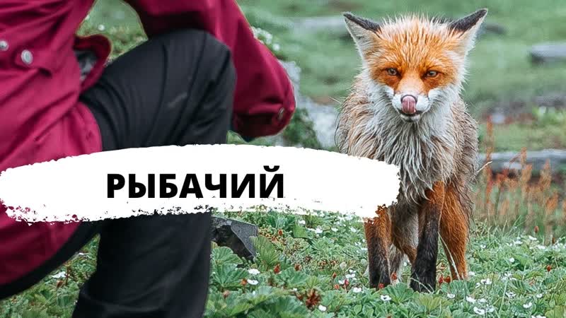 Полуостров Рыбачий Мыс Кекурский Русский