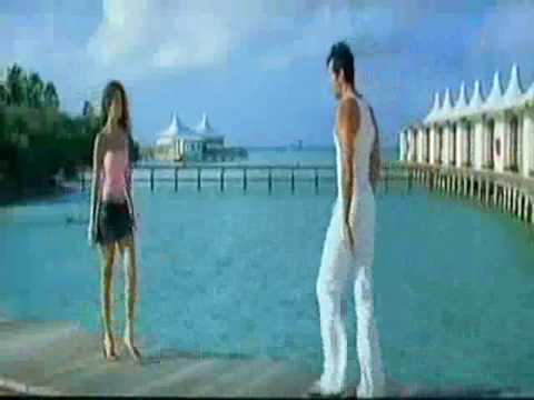Dino Morea Fight