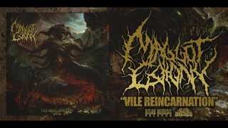 MAGGOT COLONY - VILE REINCARNATION OFFICIAL ALBUM STREAM (2017) SW EXCLUSIVE