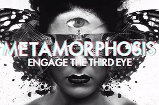 InsideInfo - Metamorphosis (Lyric Video)