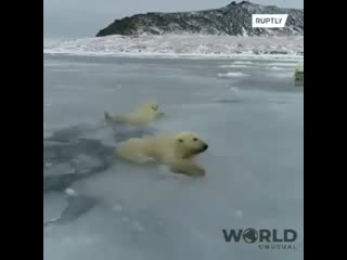 world_unusual