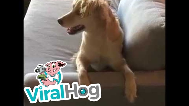 Scooty Loves to