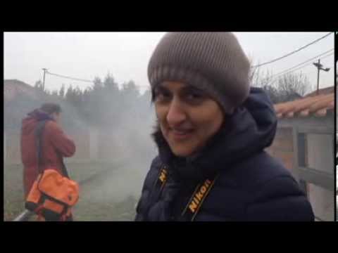 Despite the Falling Snow Snow