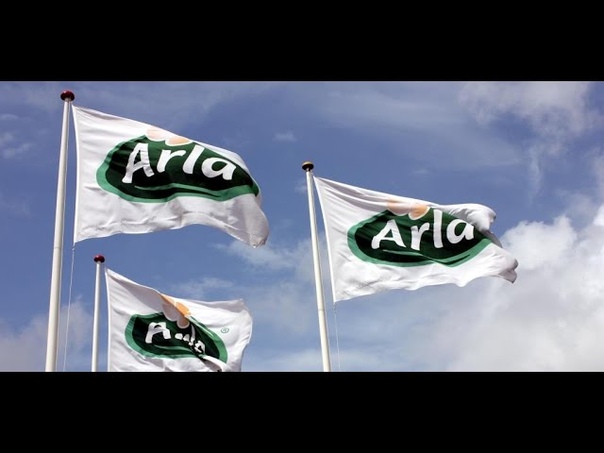 ПРОТЕИН 80 ARLA 100 ГАРАНТИЯ