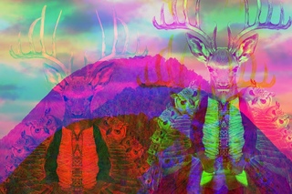 Dynasty Electrik - Wild Animal
