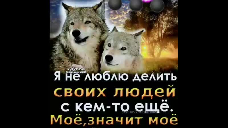 VID_55120305_060814_024.mp4