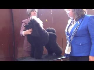 00072   Моно Челябинск   EPIFAN S TAINSTVENNOGO OSTROVA
