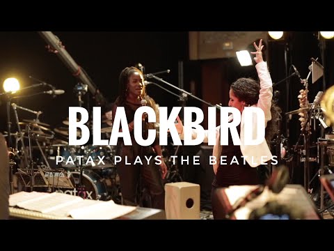 PATAX BLACKBIRD ( PATAX PLAYS THE