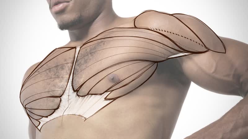 Pec Model Tracing Assignment