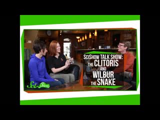 SciShow Talk Show: The Clitoris & Wilbur the Hognose Snake
