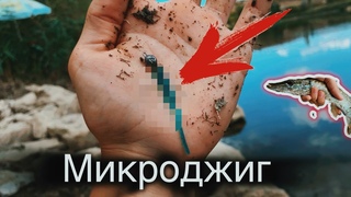 Приехали на море и Отсос*ли. Приехали на водоем и хорошо отловились по щуке и окуню на микроджиг.