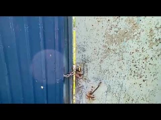 В Вольске частник огородил забором озеро и забросил