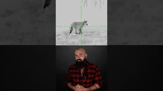 Когда началось УНИЧТОЖЕНИЕ БИОСФЕРЫ