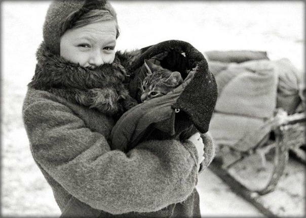 Моя бабушка всегда говорила, что тяжёлую блокаду и голод и я моя мама, а я её дочь, пережила только благодаря нашему коту Ваське Если бы не этот рыжий хулиган, мы с дочерью умерли бы с голоду