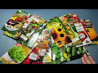 Обзор семян. Самые любимые и проверенные временем семена.