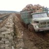 Аватар: Томас Тамулионис