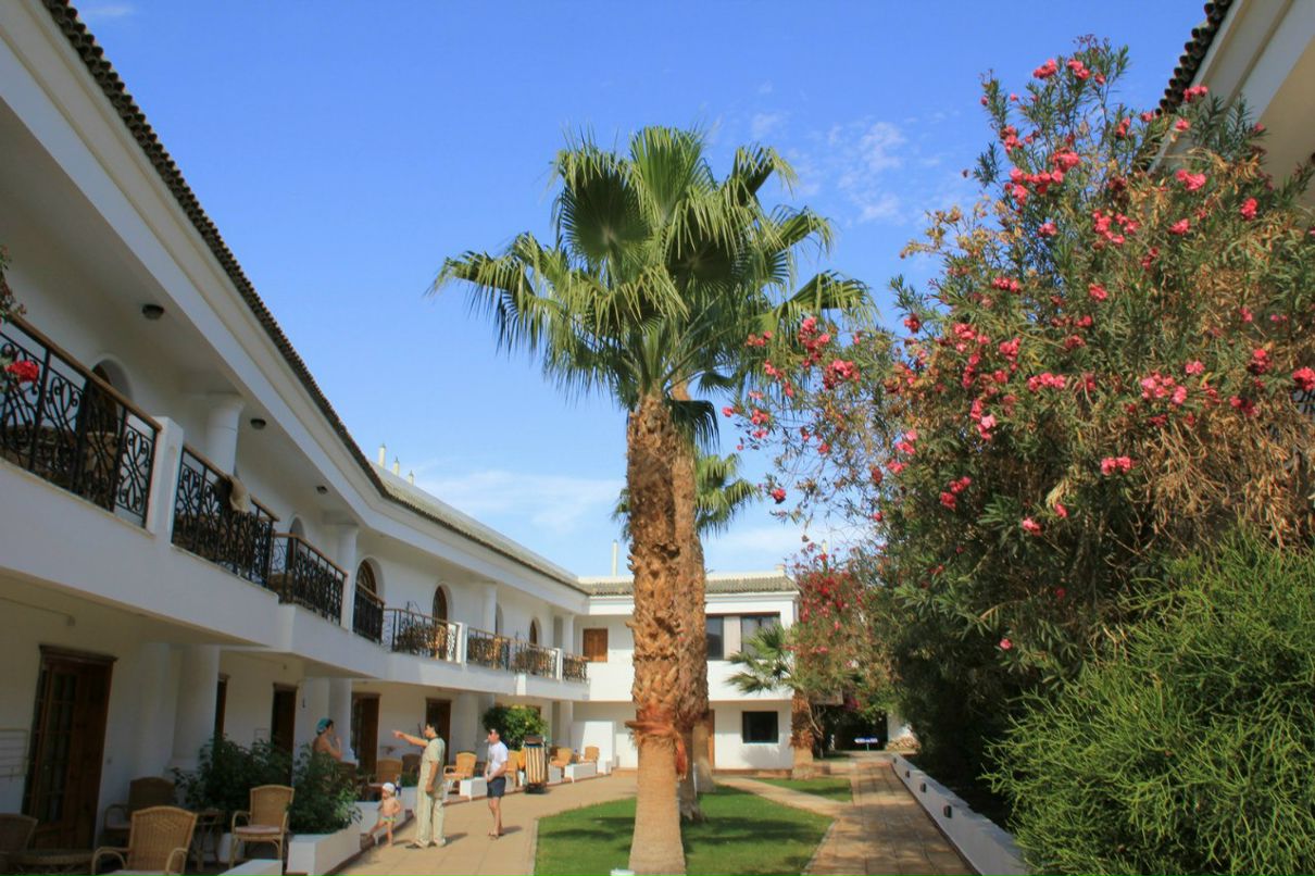 Владимир Пехоца | Краснодар