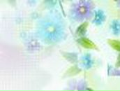 Виктория Вайвала | Киев