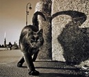 Фотография Глущенко Олега