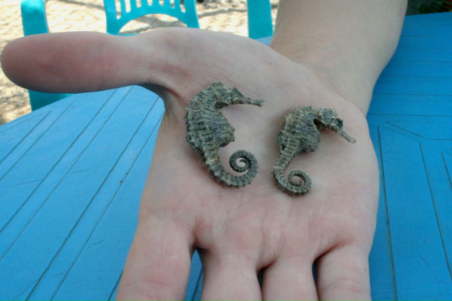 №142, Екатерина Мельникова, Санкт-Петербург №142, Екатерина Мельникова, Санкт-Петербург