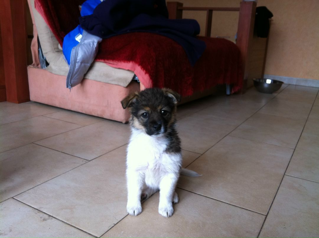 Оля Зарецкая | Киев