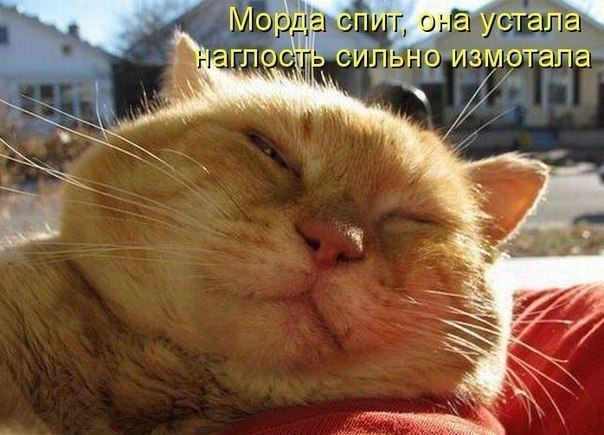 Андрей Козлов | Санкт-Петербург