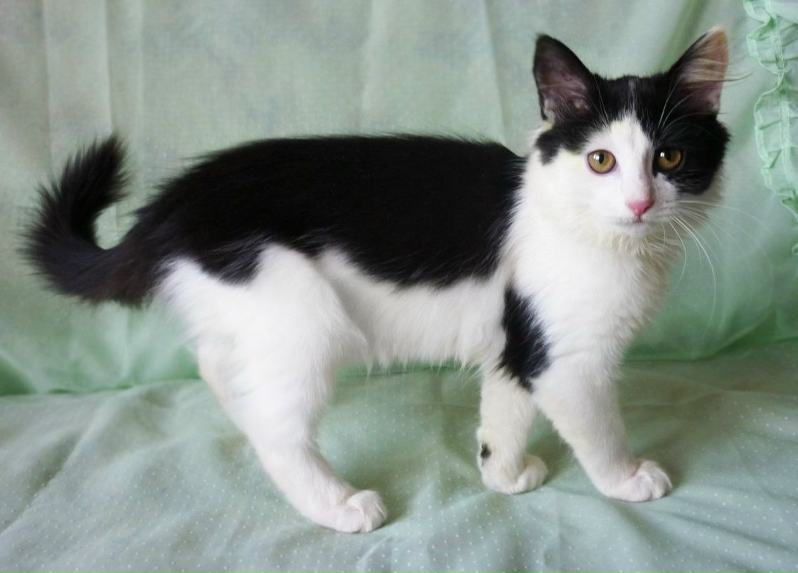 Маргарита Латыпова | Уфа