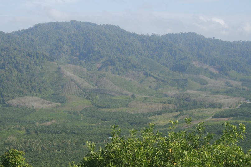 Денис Витман | Москва