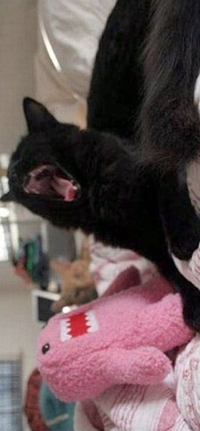 №5, Егор Марута, 30 лет №5, Егор Марута, 30 лет