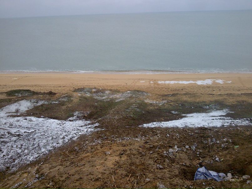 Алексей Бабушкин | Краснодар