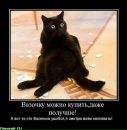 Фотография Виталий Прохоров