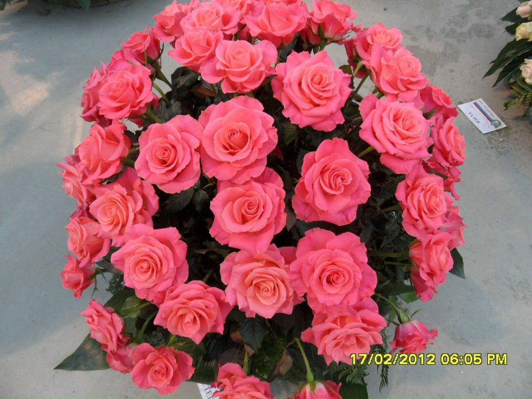 Инна Ахтименко | Калуга