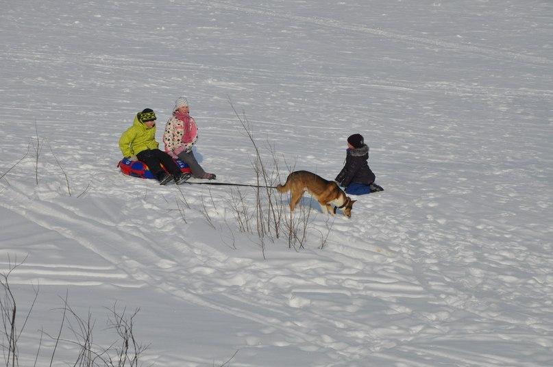 Анна Отева | Сыктывкар