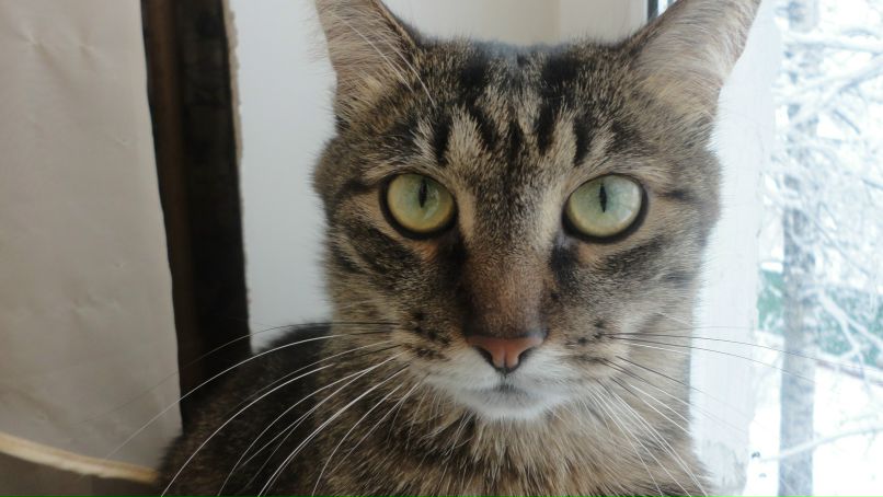 Andrey Makosov | Жуковский