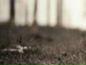 Антон Буйденков | Горки