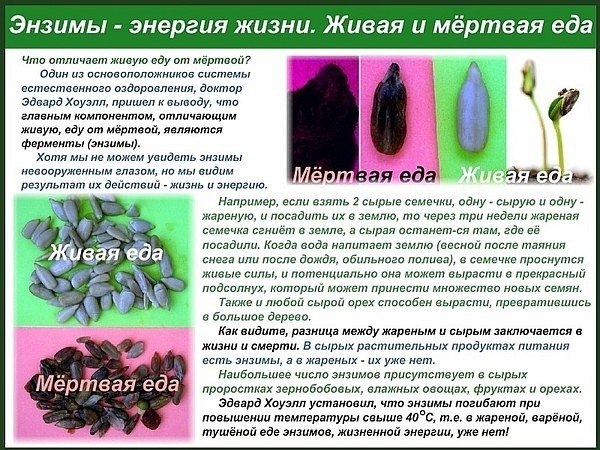 Александр Фурунжиев | Сочи