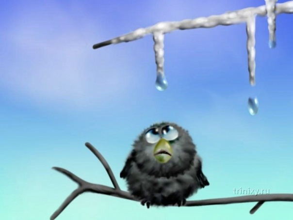 №1, Юлия Алексеева, 45 лет, Саратов №1, Юлия Алексеева, 45 лет, Саратов