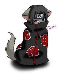 №109, Владимир Евдокимов, 42 года, Днепр (Днепропетровск) №109, Владимир Евдокимов, 42 года, Днепр (Днепропетровск)