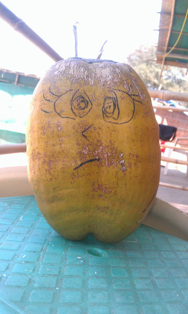 Ира Данильянц | 