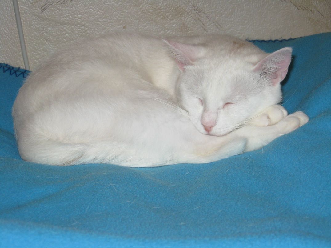 Марина Ершова | Санкт-Петербург