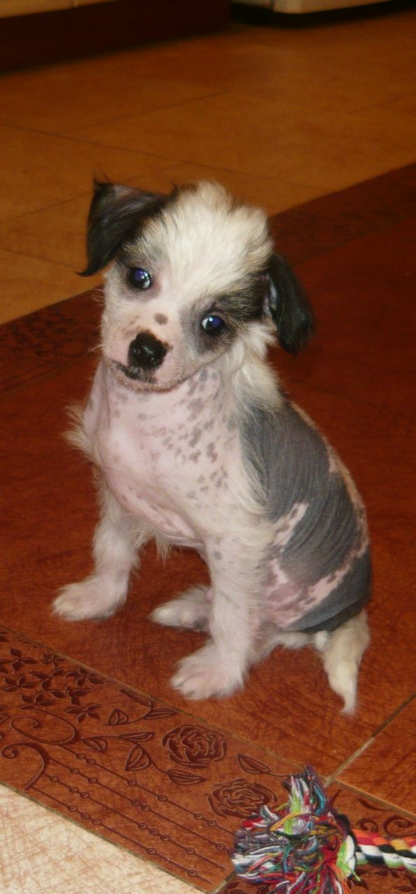 Алиночка Федорова | 