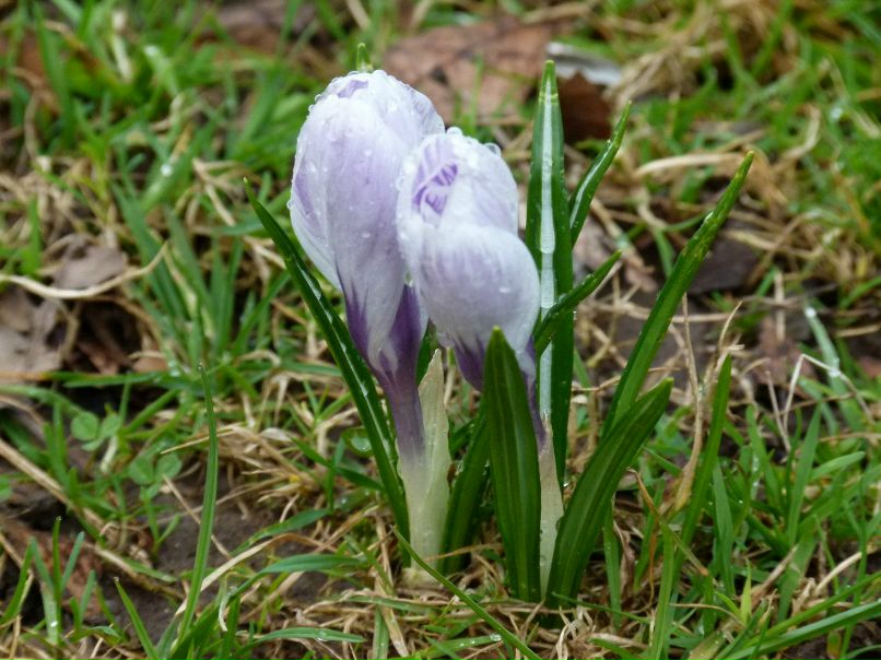 Ростислав Кондратенко | Москва