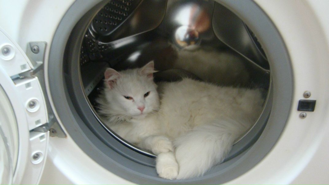 №41, Артем Троицкий, Херсон №41, Артем Троицкий, Херсон