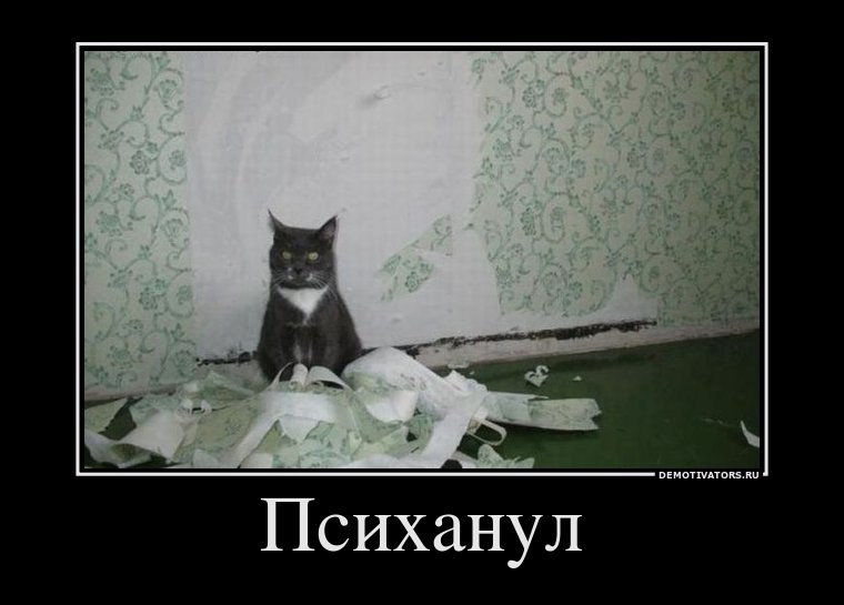 Сергей Поздняков | Санкт-Петербург