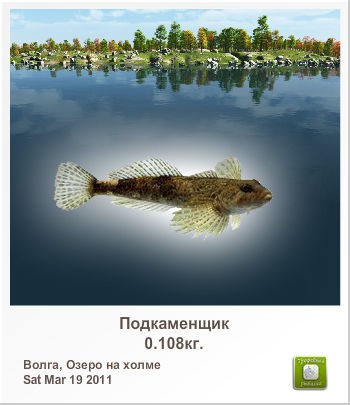 Денис Ткачук | Киев