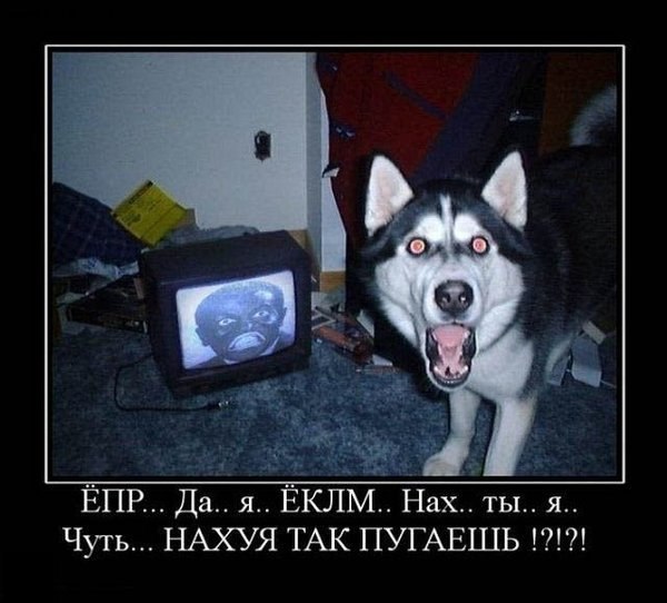 Ростислав Яковенко | Черкассы