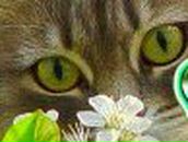 Костя Никулин | Киев